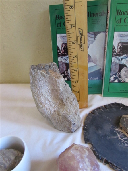 Geodes, Rocks, Stones, and Books