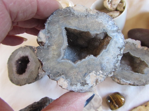 Geodes, Rocks, Stones, and Books