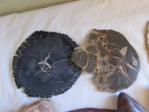 Geodes, Rocks, Stones, and Books