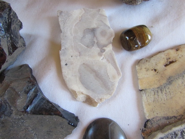 Geodes, Rocks, Stones, and Books