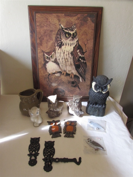 Owl Collection