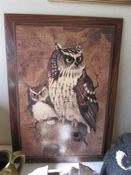 Owl Collection