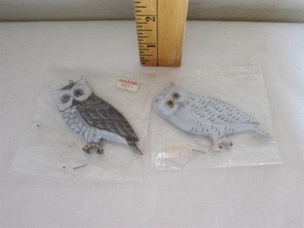 Owl Collection