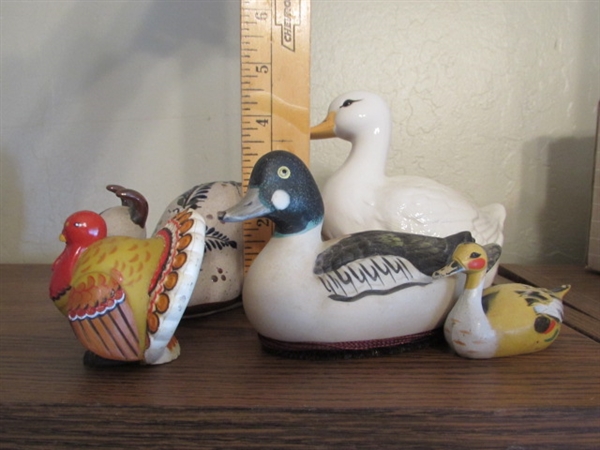 Ducks, Turkey, and Snail