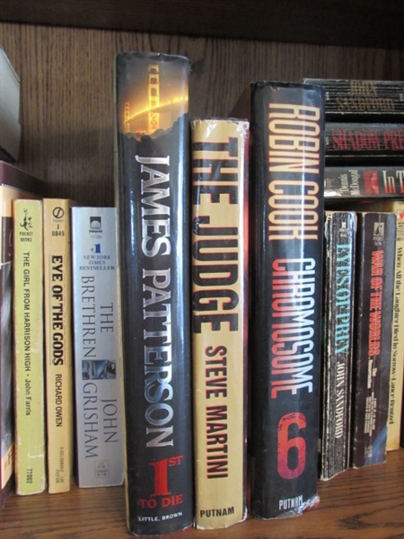 Novels: Stephen King, Dean Koontz, John Grisham, John Sandford, etc