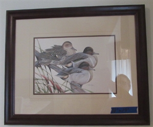 Framed Art LaMay Duck Picture