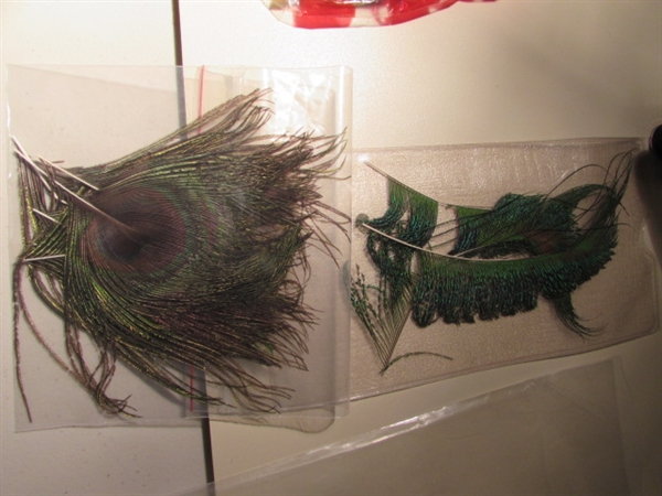 Fly Tying Feathers