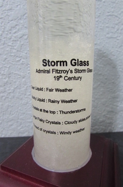Galileo Thermometer & Storm Glass