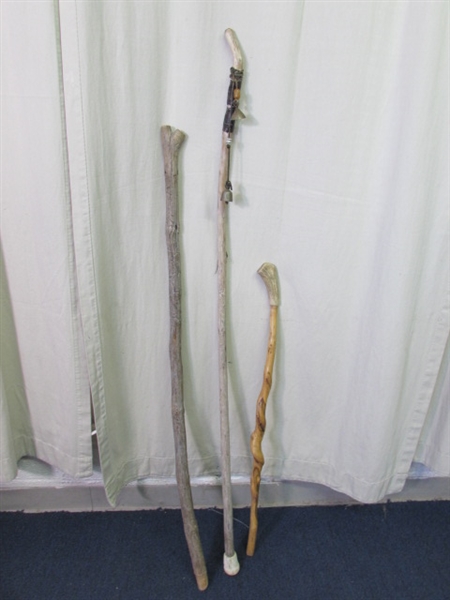 Set of 3 Walking Sticks