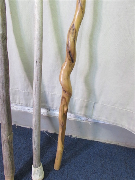 Set of 3 Walking Sticks