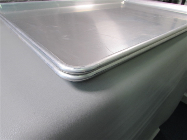 Two Large Baking Sheets