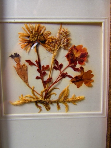 Framed Dried Flower Pictures and Quail