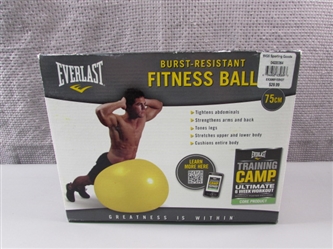 Everlast Burst Resistand Fitness Ball