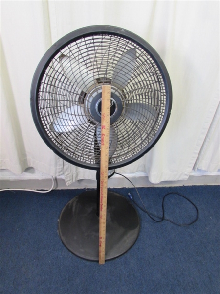 Lasko Oscillating Fan