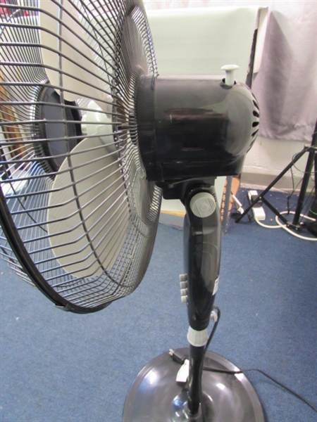 Holmes Oscillating Stand Fan