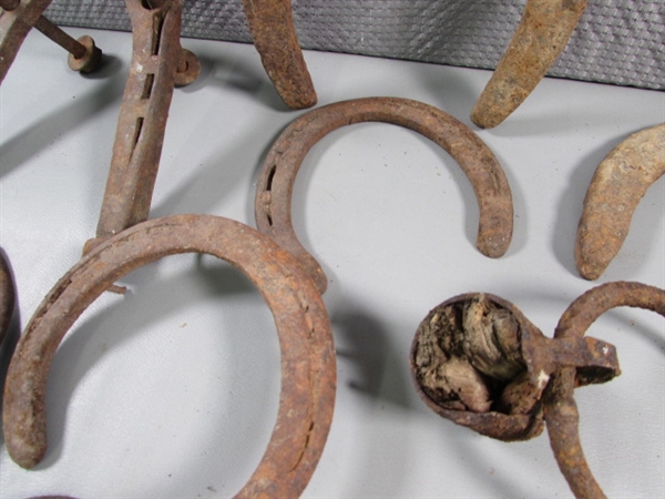 OLD HORSESHOES & MORE