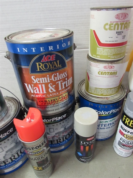 PAINT, PRIMER AND HOUSEHOLD SEALANTS