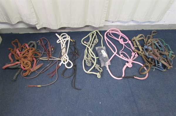 HALTERS & LEADS
