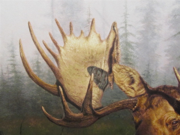 LE EVENING MORNING MOOSE PRINT #1/250 BY BRIAN KUETHER
