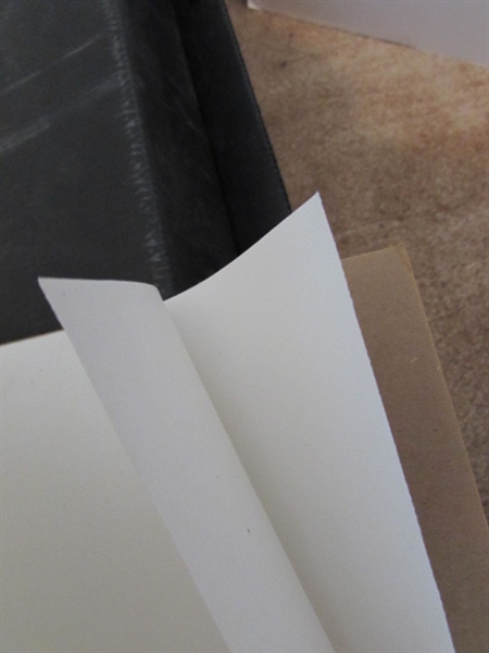 14 CANVASES IN ASSORTED SIZES
