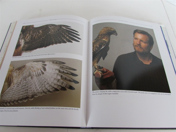 WILDLIFE ART BOOKS