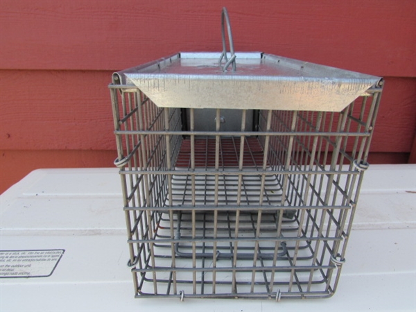 HAVAHART SMALL AND LARGE LIVE ANIMAL TRAPS