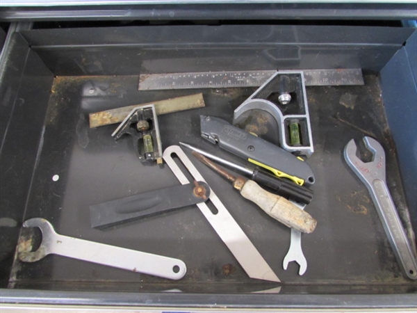 MASTER MECHANIC STAND ALONE TOOL CHEST W/TOOLS