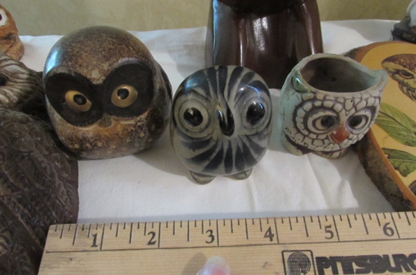 COLLECTION OF OWL DECOR