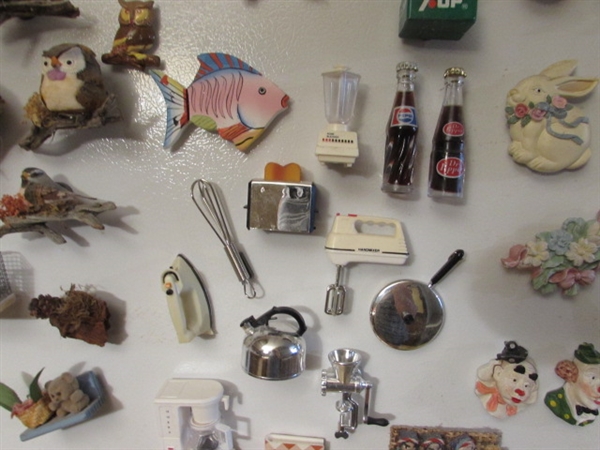 MAGNET COLLECTION