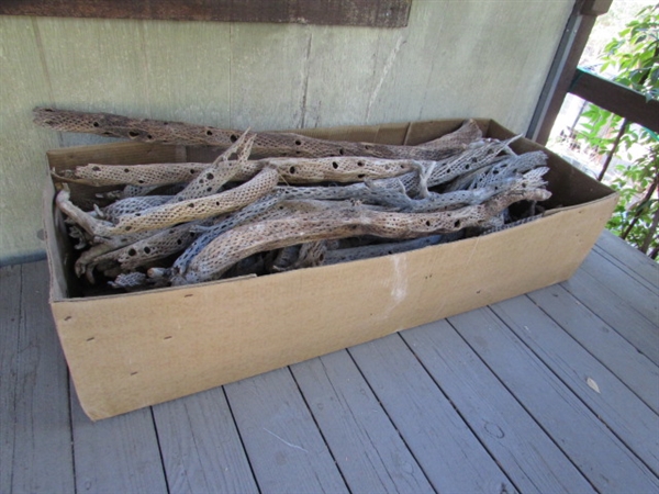 LARGE BOX OF CHOLLA WOOD - GREAT FOR AIR PLANTS