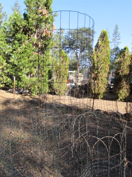 ASSORTED WIRE PLANT CAGES & TOMATO CAGES