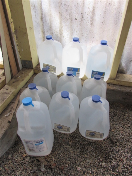 10 1-GALLON JUGS OF SPRING WATER