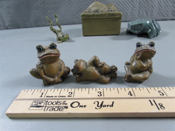 FROG COLLECTION