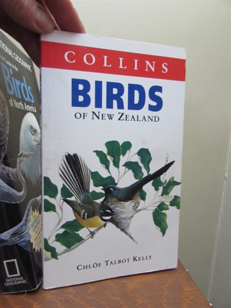 BOOK COLLECTION ALL ABOUT BIRDS