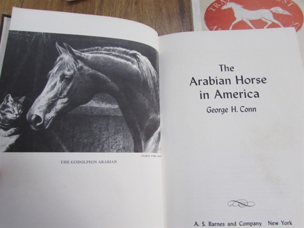 BOOKS ON HORSES
