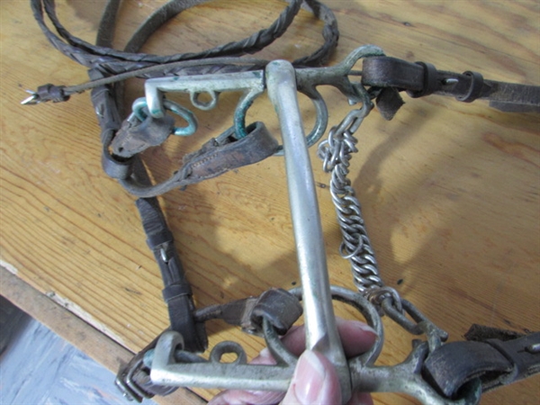 LEATHER BRIDLE W/REINS