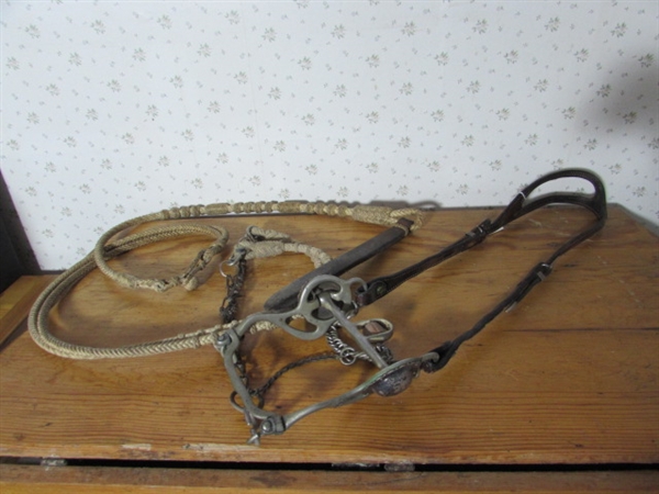 MACPHERSON #323 LEATHER BRIDLE W/BRAIDED REINS & SILVER ACCENTS