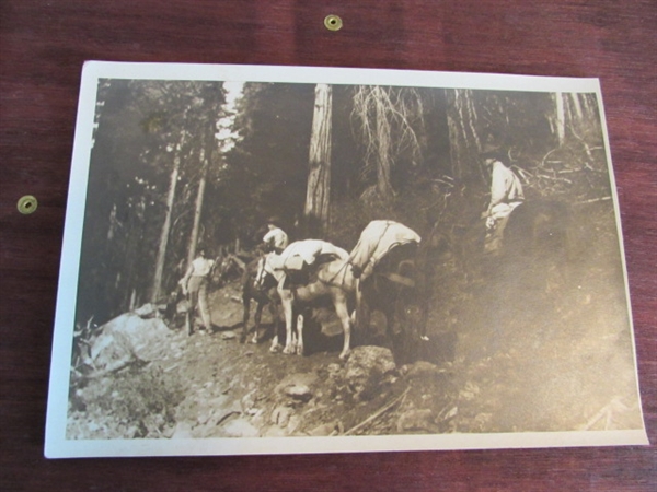 VINTAGE PHOTOS FROM SHACKLEFORD FALLS & SALMON RIVER