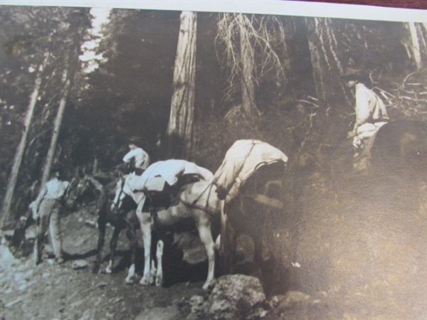 VINTAGE PHOTOS FROM SHACKLEFORD FALLS & SALMON RIVER