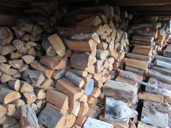 1+ CORD OF ASSORTED FIREWOOD