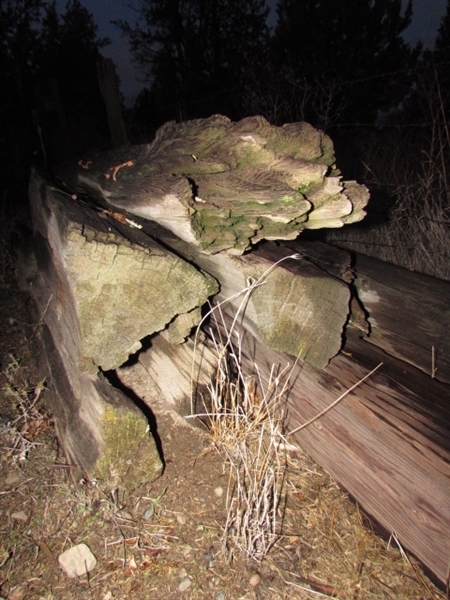 SMALL PILE OF WOOD FENCE POSTS