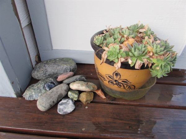 PRETTY CLAY POT W/HENS & CHICKS & ASSORTED STONES