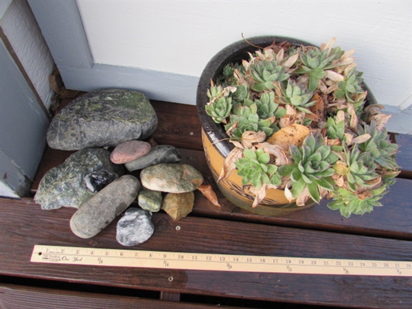 PRETTY CLAY POT W/HENS & CHICKS & ASSORTED STONES