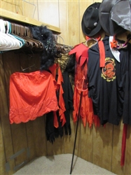 ASSORTED ADULT SIZE COSTUMES