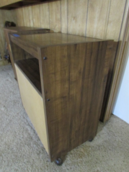WHEELED STAND & MEDIA CABINET