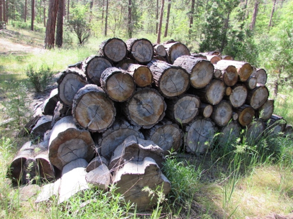 4 ROWS OF SEASONED FIREWOOD IN ROUNDS