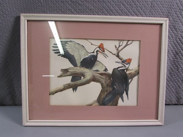 FRAMED & MATTED BIRD PRINT