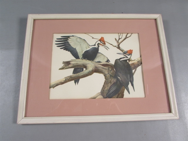 FRAMED & MATTED BIRD PRINT