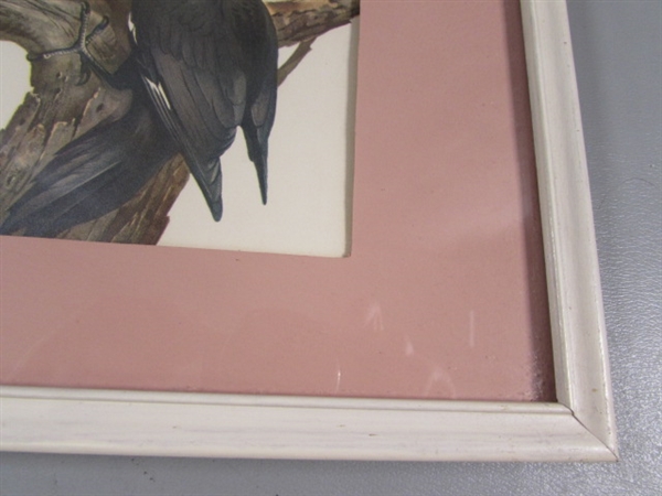 FRAMED & MATTED BIRD PRINT