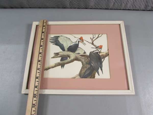 FRAMED & MATTED BIRD PRINT